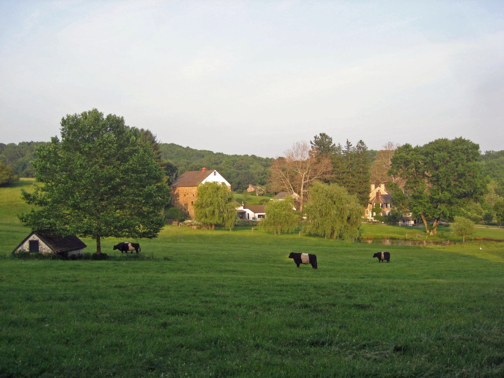 Peaceful Croft in Chester County