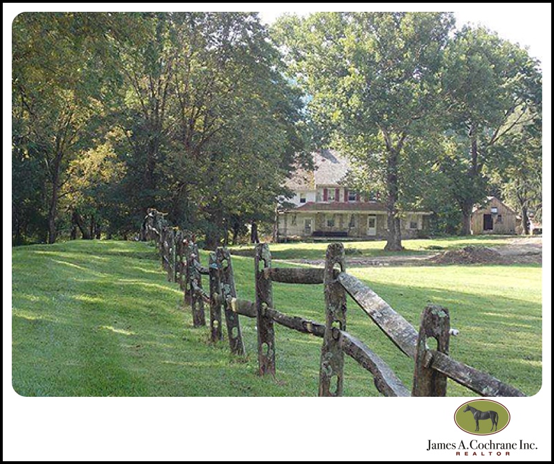 Springdale farm1_0017