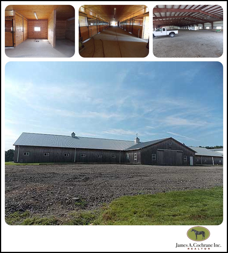 Springdale farm2_0018