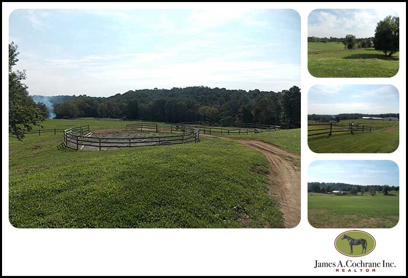 Springdale farm3_0019