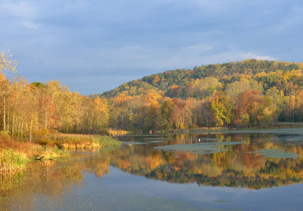 Beautiful Porest Park in Downington, PA