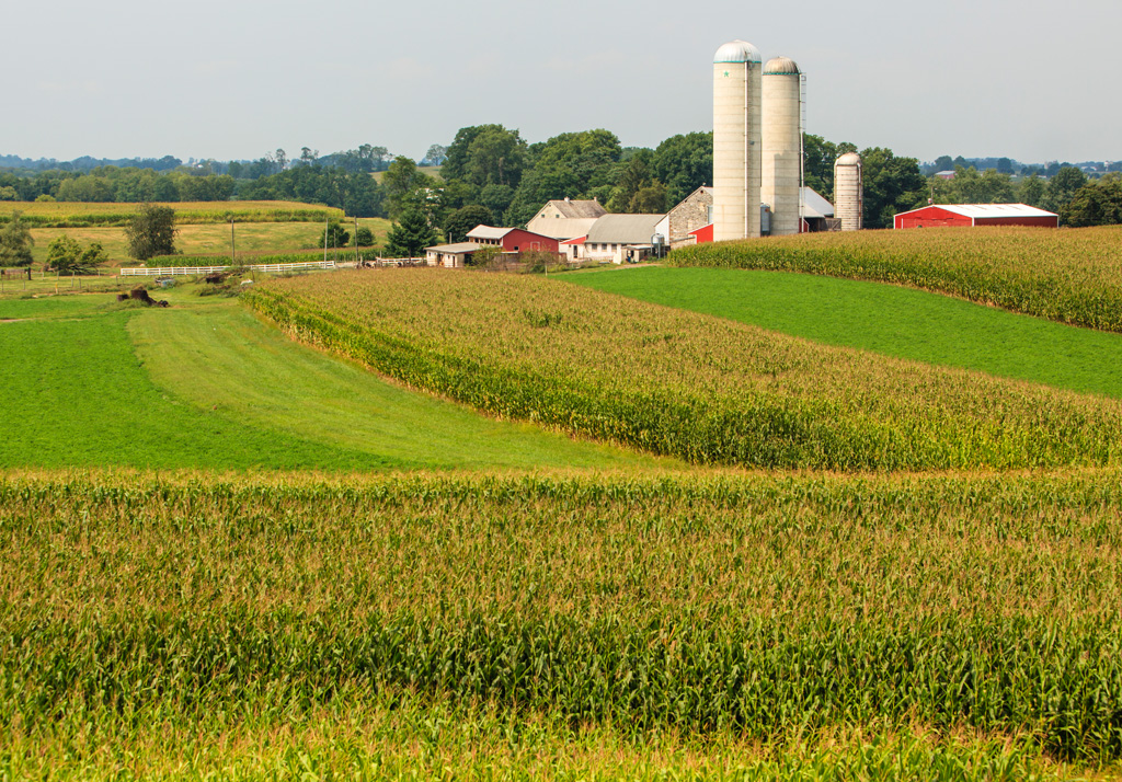 Farm Fields in Elverson, PA
