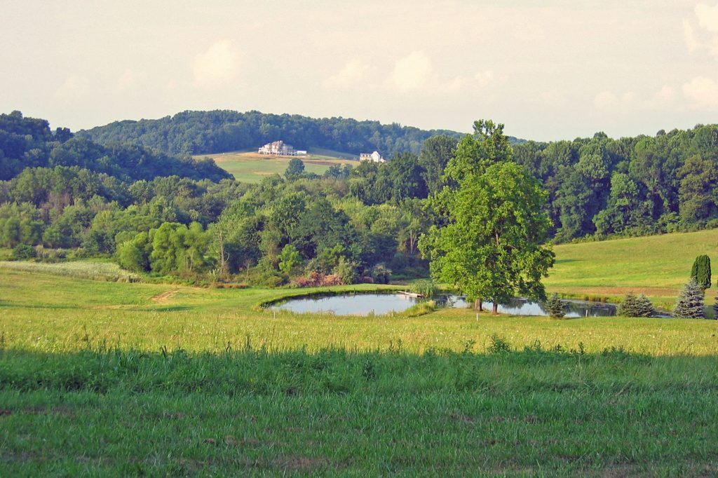 Beautiful Steppe in Glenmoore, PA