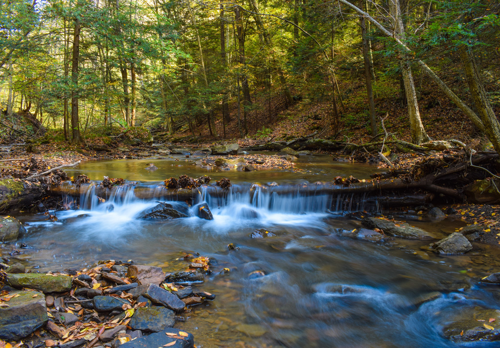 Calm and Beautiful Natural Landscape in Pottstown, PA