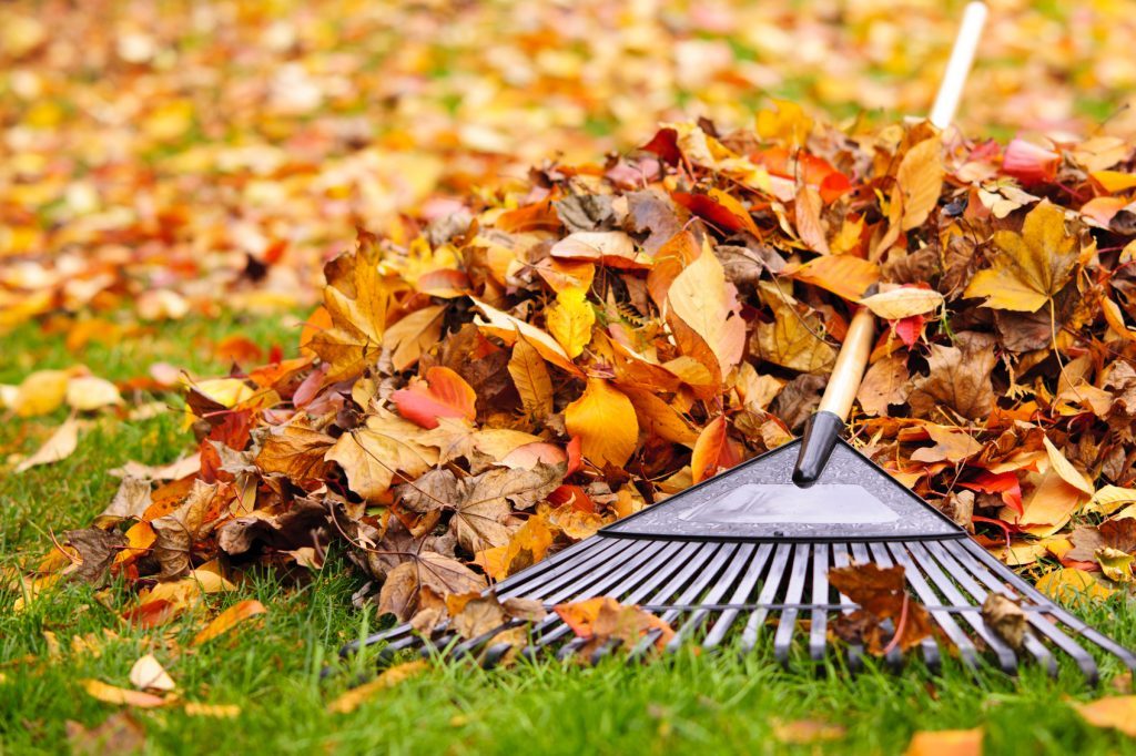 iStock_22248074_MEDIUM-1024x682-1024x682