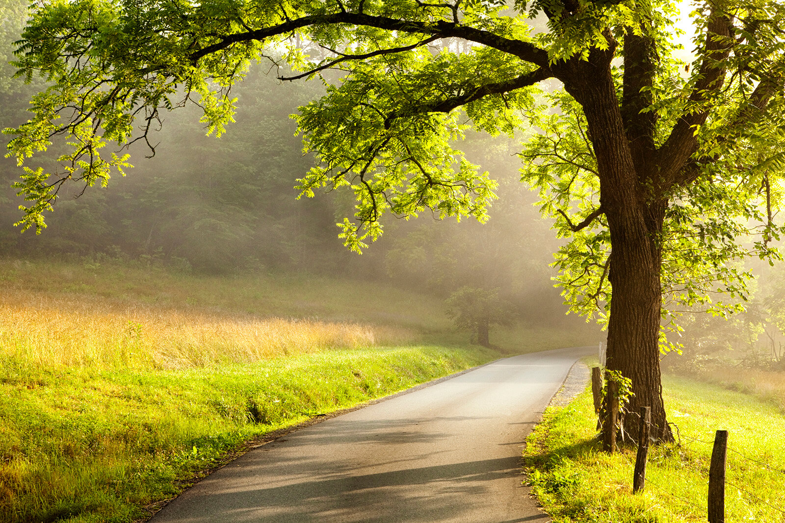 Scenic Country Road in Chester Springs, PA